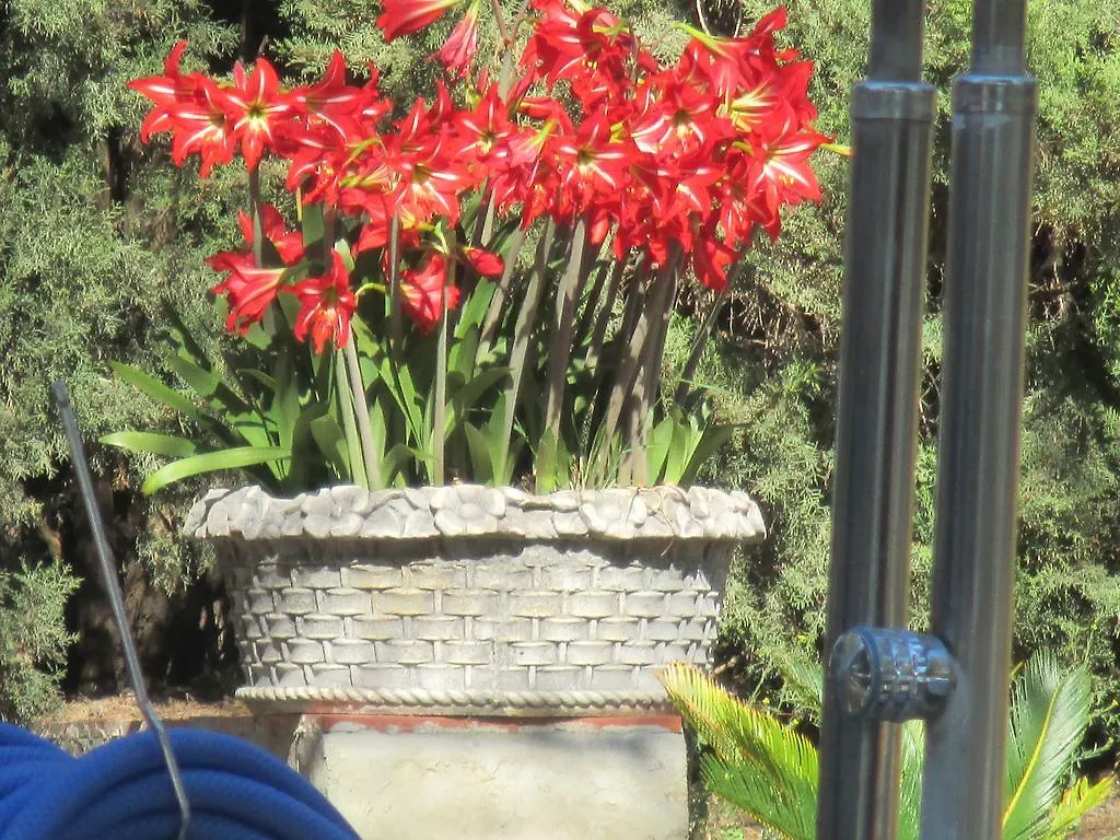 **  Finca La Mota Bed & Breakfast Alhaurin el Grande Spain